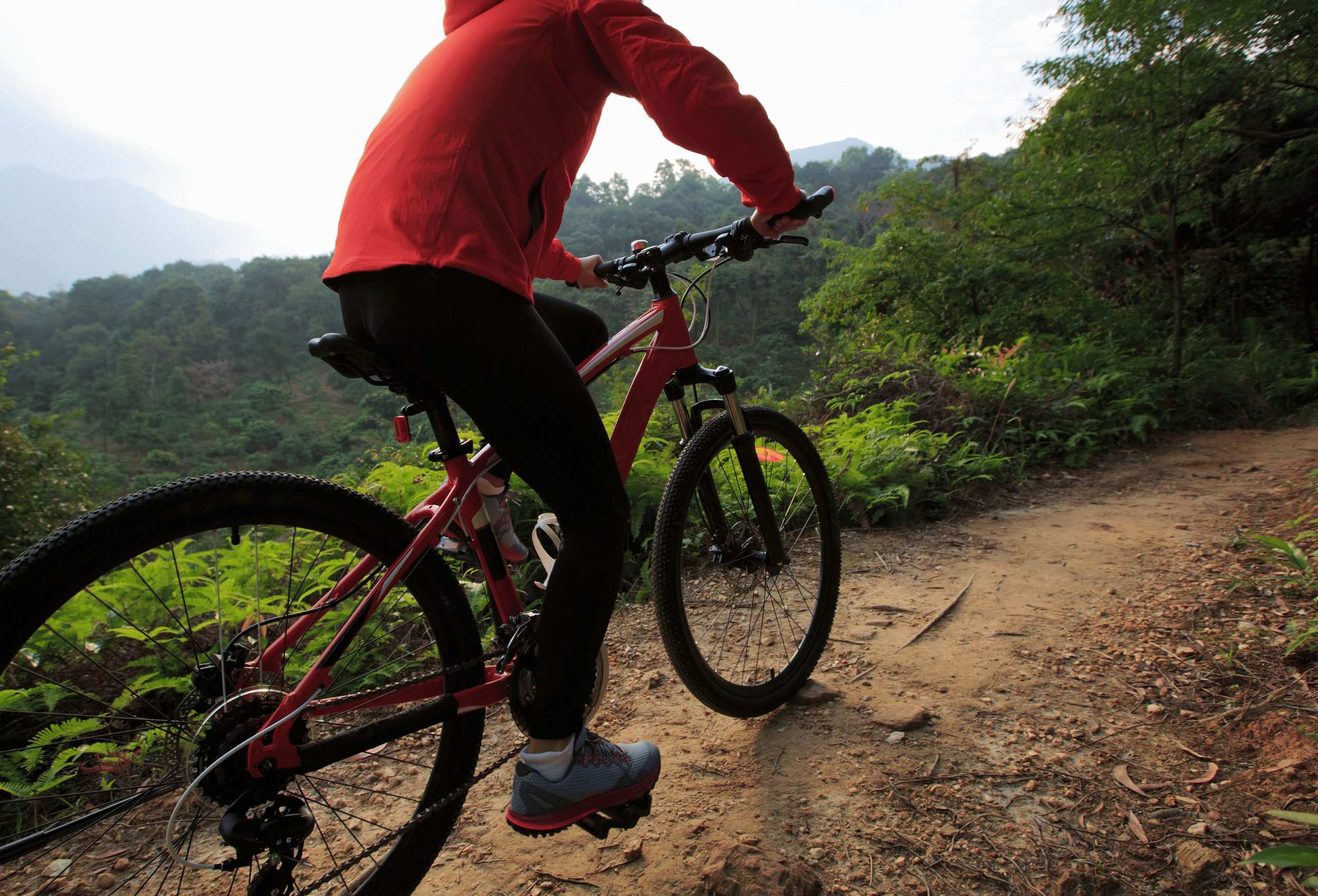 Trailbiker im Wald am Mountainbike fahren 